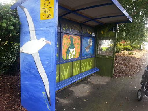 Birds Of Dunedin Bus Mural