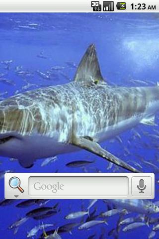 Offshore Fish Live Wallpaper