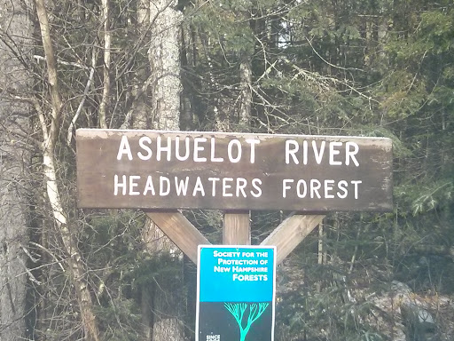 Ashuelot River Headwaters Forest