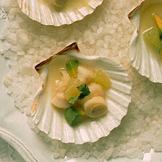 Scallop Ceviche