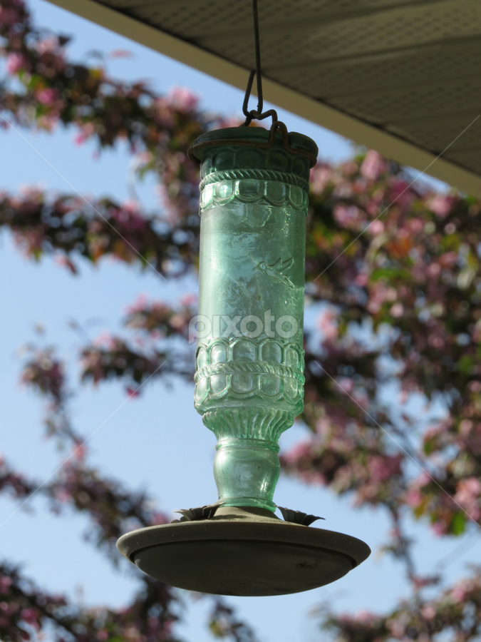 Antique Hummingbird Feeder Antiques Artistic Objects Pixoto