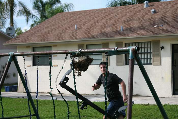destruction of beehive
