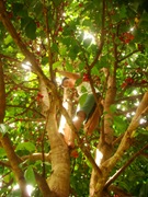 DSC03277