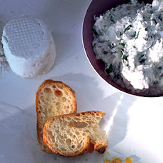 Herbed Goat-Cheese Toasts