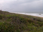 200804-012.jpg