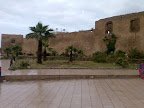 200804-021.jpg