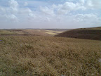 200804-117.jpg