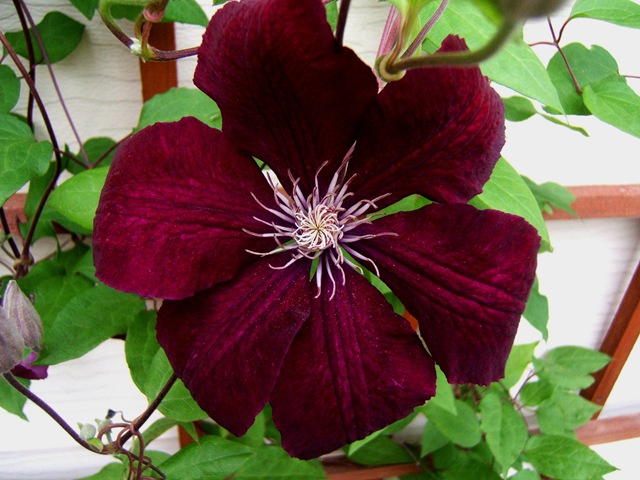 [2008_0611image0013[5].jpg]