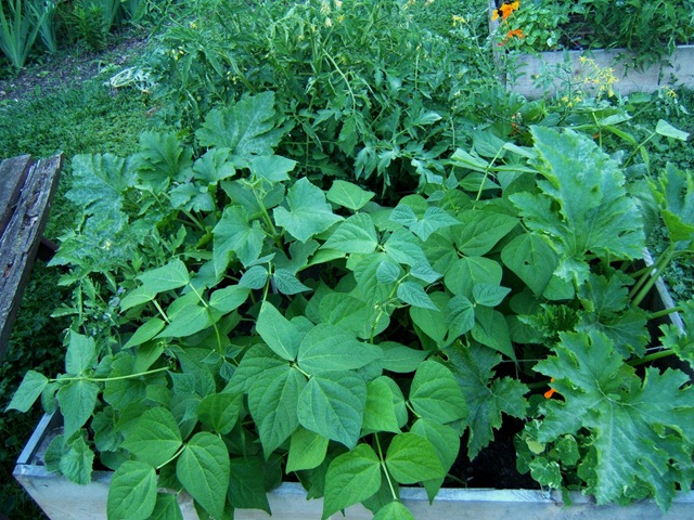 [2008_0628image0022[5].jpg]