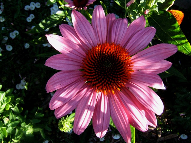 [2008_0715image0010[4].jpg]