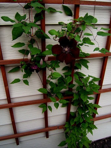 [2008_0611image0014[4].jpg]