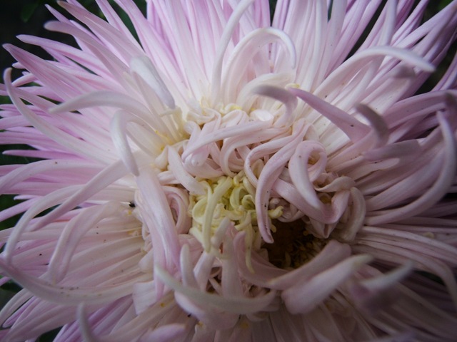 [2008_0823image0015[3].jpg]