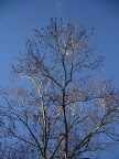 P1010246.JPG.jpg