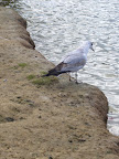 P1010475.jpg