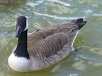 P1010464.jpg