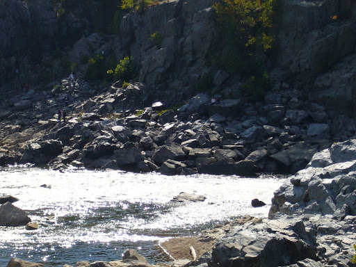 P1000976.jpg