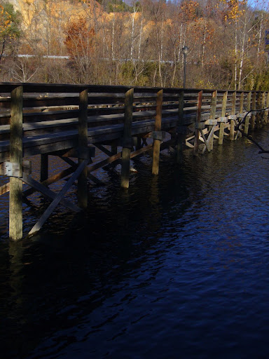 P1010123.jpg
