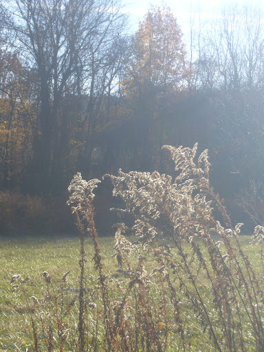 P1010099.jpg