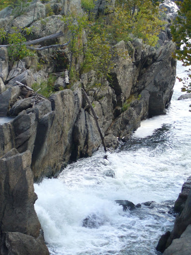 P1000970.jpg