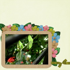 Breeze-Kit-LO-2