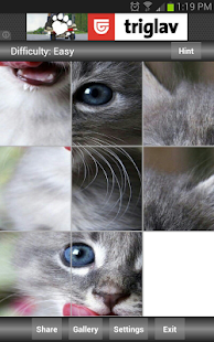 How to install Jigsaw Puzzle: Cute Animals 1.1 apk for laptop