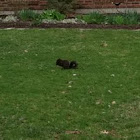 Unnamed spotting