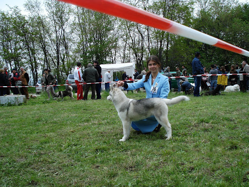 Качена снимка