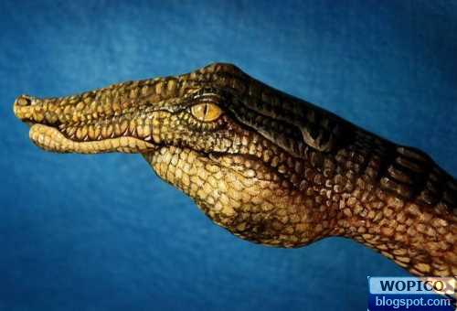 Crocodile Hand