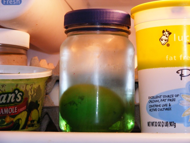 [Fridge 2[5].jpg]