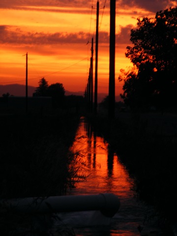 [IrrigationDitch15.jpg]