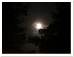 Moon 060