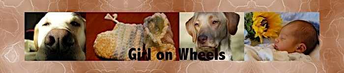 Meera's Blog