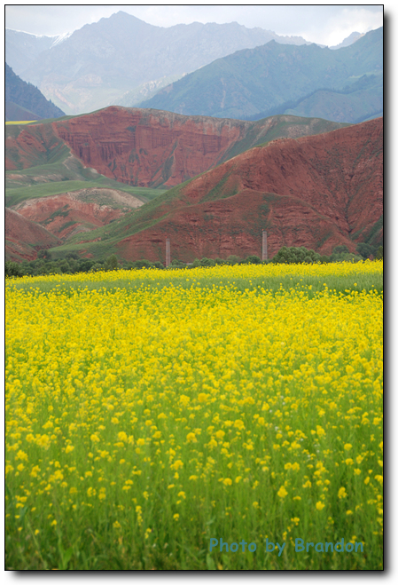 锦绣青海之 <wbr>－ <wbr>3 <wbr>天境祁连