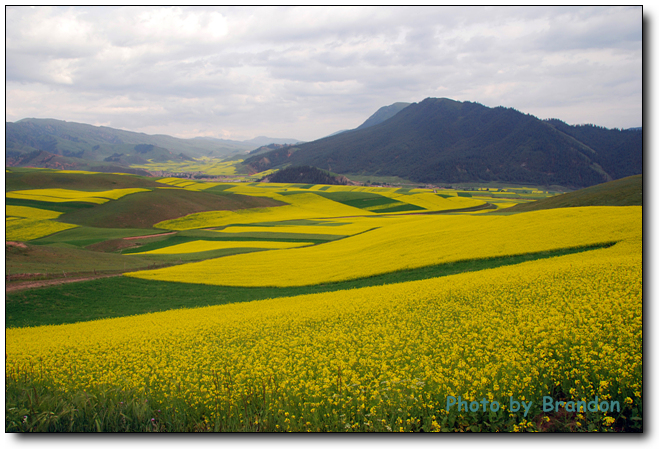 锦绣青海之 <wbr>－ <wbr>3 <wbr>天境祁连