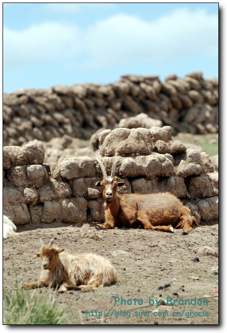 锦绣青海之 <wbr>－ <wbr>7 <wbr>青海湖边的人们
