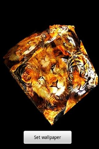3D Lion and Tiger