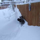 We found a low spot to walk.