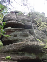 DSC01918.JPG