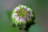 IMG_0864.JPG
