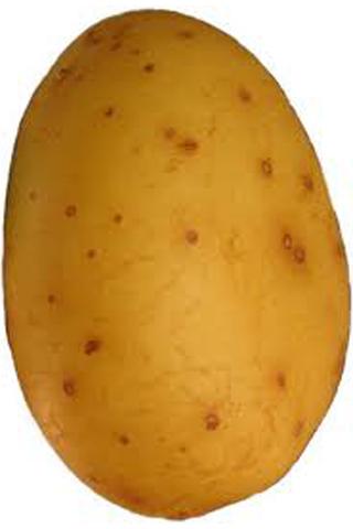 The Potato App