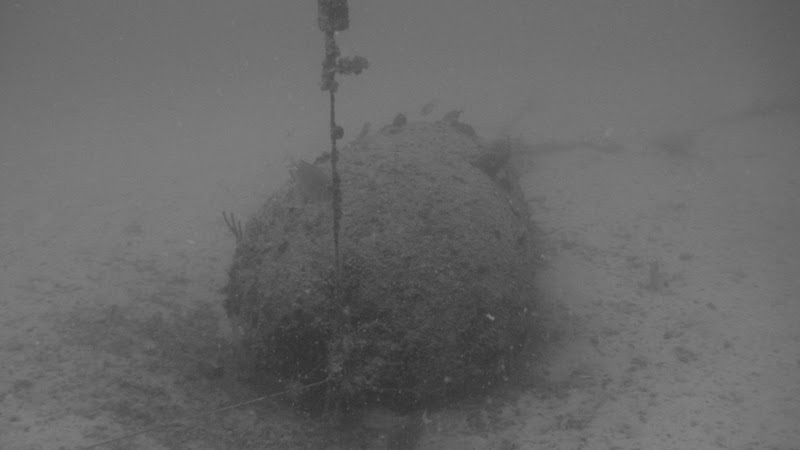 IMG_0459.JPG%20BW.jpg