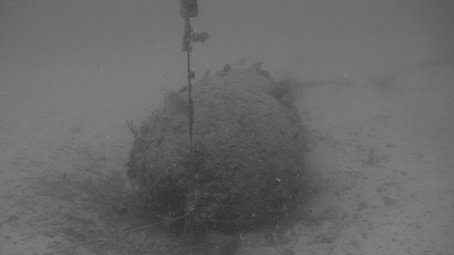 IMG_0459.JPG%20BW.jpg