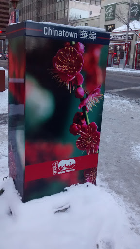 Chinatown Flower Box
