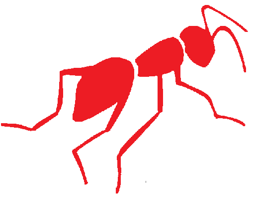 [ANT3.png]