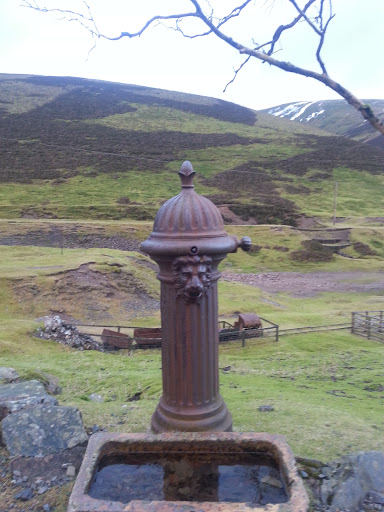 Old Drinking Well  