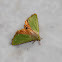 Adisura aerugo