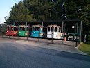 Trolley Fleet