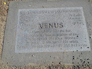 Venus Marker