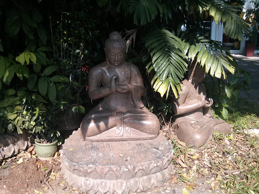 Buddha Under Tree