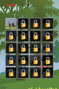 How to download My Horse Puzzles 2.1 apk for laptop